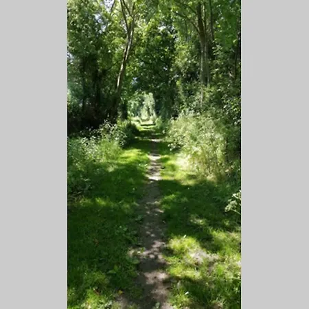 Gite Du Bocage Buysscheure Esterno foto