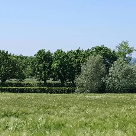 Gite Du Bocage Buysscheure Esterno foto