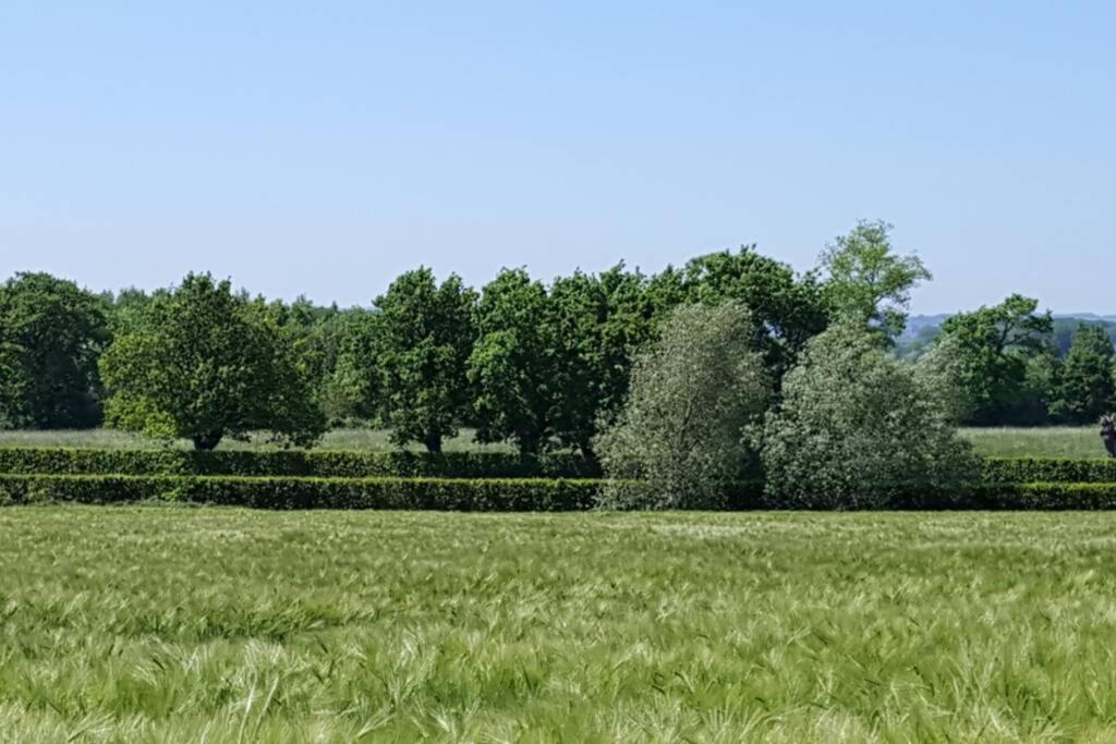 Du Bocage *